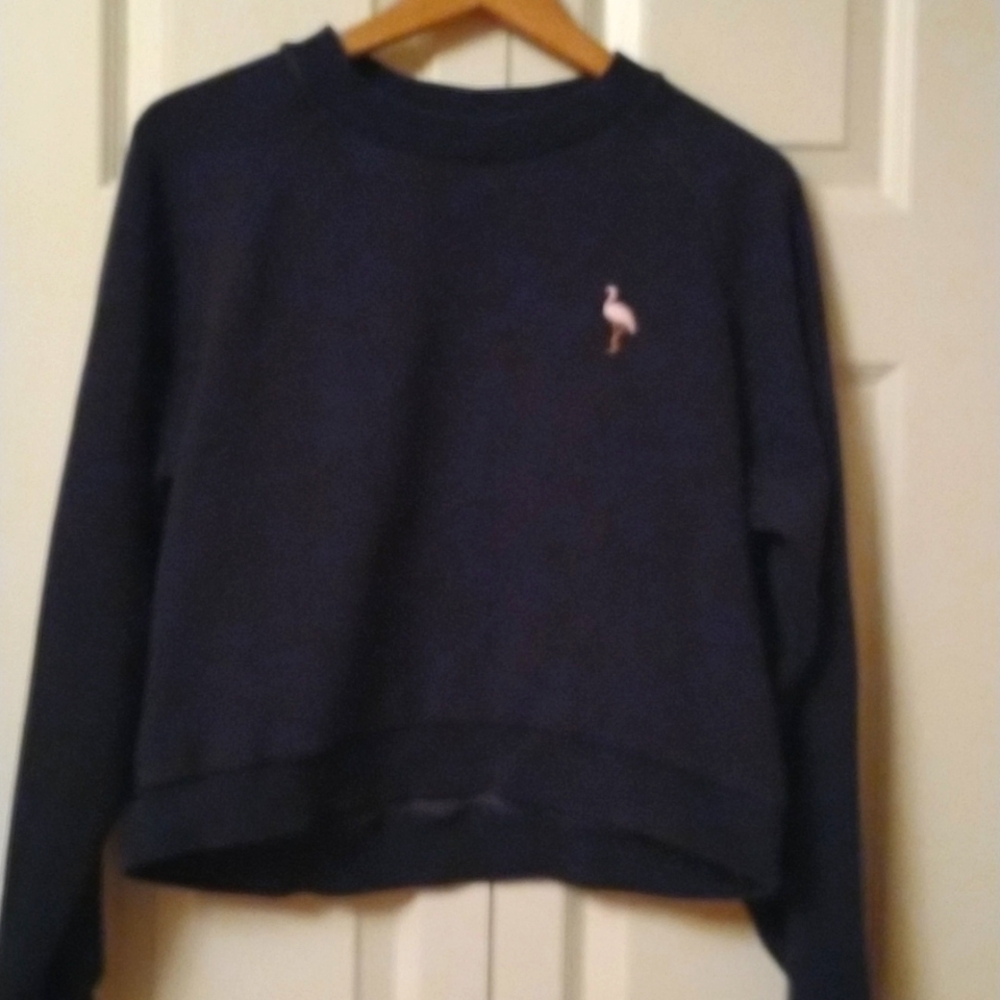 Aritzia Sunday Best sweatshirt